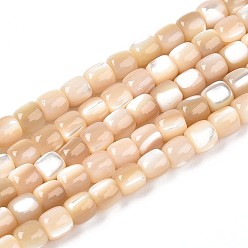 пшеница Натуральная оболочка из трохидных оболочек, колонка, цвет пшеницы, 3.5~5x3.5~4 мм, отверстие : 0.6 мм, около 96~97 шт / нитка, 15.16~15.35 дюйм (38.5~39 см)