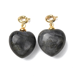 Larvikite Подвеска в форме сердца из натурального ларвикита., с медными застежками, золотые, 24.5~25.5 мм, отверстие : 3 мм