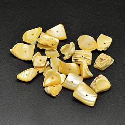 Gold Dyed Natural Shell Nuggets Chips Beads, Gold, 11~20x5~15mm, Hole: 1mm, about 850pcs/500g
