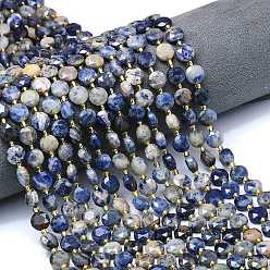 Содалитовое Природный содалит бисер нитей, граненый шестиугольный разрез, плоско-круглые, с бисером, 8~8.5x5 мм, отверстие : 0.8 мм, около 36 шт / нитка, 15.16''~15.24'' (38.5~38.7 см)