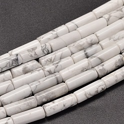Говлит Натуральный Howlite колонка бисер пряди, 13~14x4~5 мм отверстие: 1 мм, около 28 шт / нитка, 15.2 дюйм