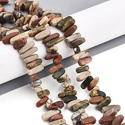 Пикассо Камень Натуральная полихромная яшма/камень Пикассо/нити бус из яшмы Пикассо, самородки, 2.5~7x8~19.5x5~7 мм, отверстие : 0.8 мм, около 71~77 шт / нитка, 15.35~15.75'' (39~40 см)