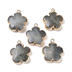 Лабрадорита Природные подвески лабрадорита, цветочные подвески с латунной фурнитурой, золотые, 23~24x21x6 мм, отверстие : 1.8 мм