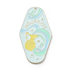 Водолей Большие подвески из сплава эмали с изображением двенадцати созвездий, золотые, Водолей, 63x35x1 мм, отверстие : 1.6 мм