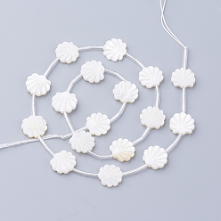 Seashell Color Natural White Shell Beads, Mother of Pearl Shell Beads, Shell Shaped, Seashell Color, 12x12x3mm, Hole: 0.8~1mm