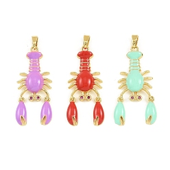 Креветка Латунь эмаль подвески, золотые, креветка, 34x17x4 мм, отверстие : 2x4.5 мм