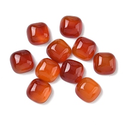 Шоколадный Природные кабошон агата, окрашенная и подогревом, квадратный, цвет шоколада, 12x12x6 мм