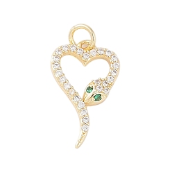 Настоящее золото 18K Подвески из латуни с покрытием из прозрачного кубического циркония, с целью перехода в кольце, долговечный, без свинца и без кадмия, змея, реальный 18 k позолоченный, 19.5x11.5x2.5 мм, отверстие : 3 мм