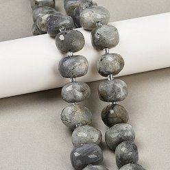 Лабрадорита Природные лабрадорита бисер нитей, граненые, самородки, с бисером, 13.5~16x18.5~21.5x13.5~16 мм, отверстие : 0.9 мм, около 23 шт / нитка, 15.35~15.47'' (39~39.3 см)
