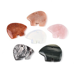 Смешанные камни Натуральные смешанные камни большие подвески, амулеты в виде медведя зуни, 36~44x48~55x7 мм, отверстие : 3~3.5 мм