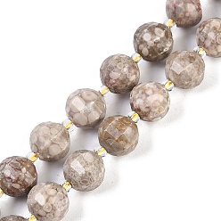 Ископаемое Натуральные бусины из ископаемых раковин, граненые, фонарь, с бисером, 10x9 мм, отверстие : 1.2 мм, около 33~34 шт / нитка, 15.51~16.10 дюйм (39.4~40.9 см)