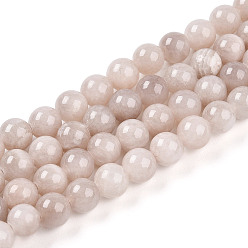 Верблюжий Природные окрашенные желтый нефрит драгоценный камень шарик нити, круглые, верблюжие, 8 мм, отверстие : 1 мм, около 50 шт / нитка, 15.7 дюйм