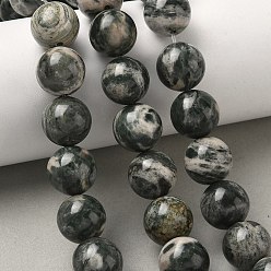 Джаспер Зебра Природные зебры яшмы бисер нитей, круглые, 14~14.5 мм, отверстие : 1.4 мм, около 28~30 шт / нитка, 15.47~16.65'' (39.3~42.3 см)