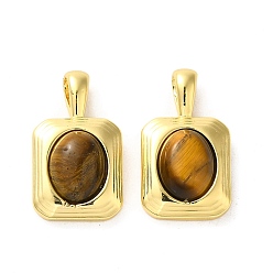 Real 18K Gold Plated Natural Tiger Eye Pendants, Brass Rectangle Charms, Real 18K Gold Plated, 19x11x6mm, Hole: 4x2mm