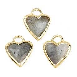 Лабрадорита Ограненные подвески из натурального лабрадорита, Подвески в форме сердца из латуни с драгоценными камнями в оправе, золотые, 22x18.5~19x7 мм, отверстие : 5x4 мм