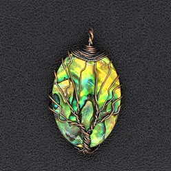 Red Copper Natural Paua Shell Pendants, Oval with Tree of Life, Red Copper, 38x22mm