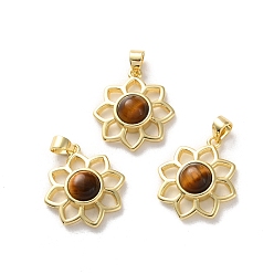Тигровый глаз Природных тигровый глаз подвески, стойка покрытие золотистый тон латунные подвески, долговечный, без свинца и без кадмия, цветок, 18x16x5~5.5 мм, отверстие : 3.5x3 мм