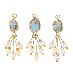 Larimar Raw Rough Natural Larimar Copper Wire Wrapped Pendants, Nuggets Charms with Natural Pearl Beads Tassel, Golden, 42~43x9~11x5~7mm, Hole: 3.5mm
