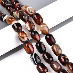 Седло Коричневый Природный агат бисер нитей, окрашенные, баррель, седло коричневый, 16~18x12~13.5 мм, отверстие : 1 мм, около 22 шт / нитка, 15.35 дюйм (39 см)