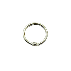 Platinum Iron Loose Leaf Book Binder Hinged Rings, Platinum, 0.22cm, Inner Diameter: 2cm