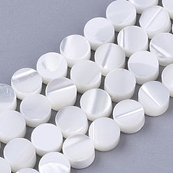 Creamy White Trochus Shell Beads Strands, Flat Round, Creamy White, 6.5x3.5mm, Hole: 1mm, about 63~64pcs/Strand, 15.35 inch~15.63 inch