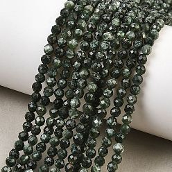 Серафинит Природные SERAPHINITE нитей бисера, граненые, круглые, класс А, 3.5 мм, отверстие : 0.7 мм, около 111 шт / нитка, 15.28~15.35'' (38.8~39 см)