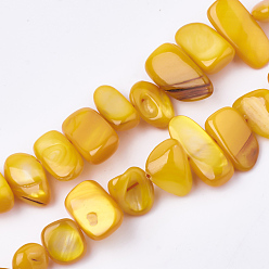 Золотистый Пресноводных оболочки бисер нитей, окрашенные, самородки, золотые, 6~25x4~14x3~7 мм, отверстие : 1 мм, около 96~100 шт / нитка, 31.4 дюйм