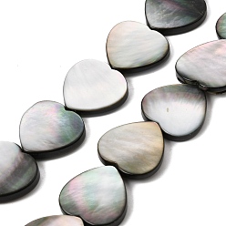 Black Lip Shell Natural Black Lip Shell Beads Strands, Heart, 18.5~20x19.5~20x3.5~4mm, Hole: 0.5mm, about 20pcs/strand, 15.16''(38.5cm)