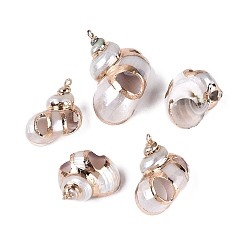 Seashell Color Electroplated Golden Brass Edged Natural Spiral Shell Pendants, Conch Charms, Seashell Color, 23~35x19~32x14~27mm, Hole: 1.6~1.8mm