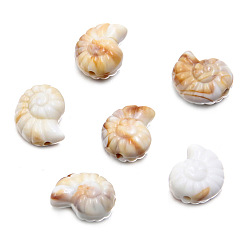 Shell Shape Непрозрачные акриловые бусины, цвет морской раковины, формы раковины, 15x12 мм