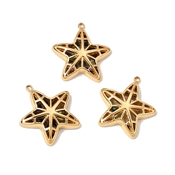 Golden Marine Organism Theme Natural Shell Pendants, Starfish Charms, with 304 Stainless Steel
 Findings, Golden, 22x20.5x4mm, Hole: 1.6mm