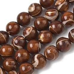 Coconut Brown Natural Trochus Shell Beads Strands, Smooth Round, Coconut Brown, 10mm, Hole: 1mm, about 40pcs/strand, 14.96''(38cm)