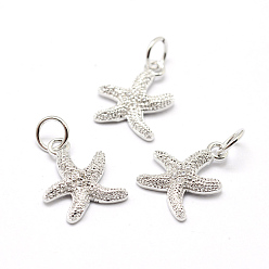 Платинированный Латунные микро проложить класса AAA кубического циркония подвески, морская звезда / морские звезды, без свинца, без никеля и без кадмия, Реальная платина, 13x10.5x2 мм, отверстие : 3.5 мм