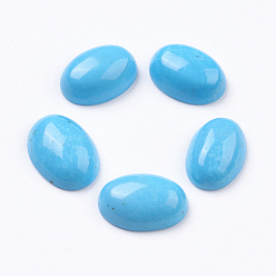 Светло-Голубой Природные кабошонов Говлит, овальные, окрашенные, Небесно-голубой, 15x11x5 мм