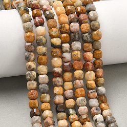 Сумасшедший Агат Природные сумасшедший агат бисер нитей, граненый стол, вырезанный куб, 5.5~6x5.5~6x5~5.5 мм, отверстие : 1 мм, около 73 шт / нитка, 14.96'' (38 см)