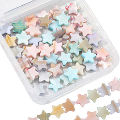 Звезда 2 нити макарон цвета натуральных ракушек нити, окрашенные, разноцветные, звезда, 8.5~11x9.5~11.5x2~3 мм, отверстие : 0.6 мм, около 40 шт / нитка, 15.55'' (39.5 см)