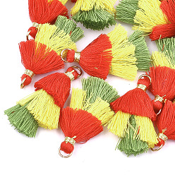 Разноцветный Кулон с кисточкой из поликоттона (полиэстер), с железной фурнитурой, золотые, красочный, 39~40x19~26x6~7 мм, отверстие : 4 мм