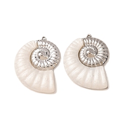Stainless Steel Color 304 Stainless Steel & Resin Pendants, Spiral Shell Charm, Stainless Steel Color, 40x30x5.5mm, Hole: 1.5mm