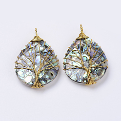 Золотой Раковины ушка / ракушка большие кулоны, проволочные подвесные подвески, слезинка с дерева, золотые, 51x31x8 мм, отверстие : 4.5x6.5 мм