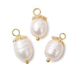 Золотой Подвески из натурального пресноводного жемчуга, рисовое очарование, с латунными шаровидными штифтами и металлическими колпачками для бусин., золотые, 16~18x8.5~9 мм, отверстие : 2 мм