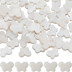 Морская Ракушка 2 нити из натуральных пресноводных бусин из ракушек, бабочка, цвет морской раковины, 8~9x11~12x2.5~3.5 мм, отверстие : 0.8 мм, около 37~39 шт / нитка, 14.57 дюйм ~ 15.35 дюйм (37 см ~ 39 см)