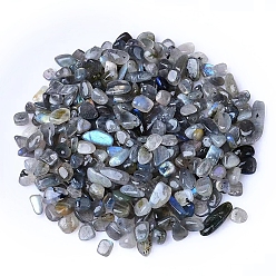 Gemstone Натуральный спектролит, измельченные чипсы, для проектов домашнего рукоделия и украшения цветочных горшков, аквариумов, 3~5 мм, около 100 г / набор