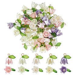 Mixed Color 50Pcs 5 Colors Acrylic Pendants, with Golden Brass Loops, Pearl with Lily of the Valley Charms, Mixed Color, 13~13.5x10~11.5mm, Hole: 2.5~3mm, 10pcs/color
