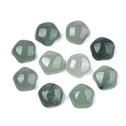 Green Aventurine Natural Green Aventurine Cabochons, Star, 12x12x5.5mm