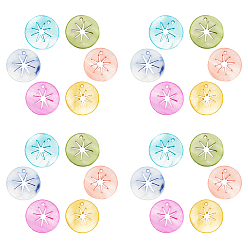 Mixed Color Natural Freshwater Shell Pendants, Flat Round with Hollow Star, Dyed, Mixed Color, 20x2mm, Hole: 1.6mm, 6 colors, 4pcs/color, 24pcs/box