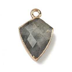 Лабрадорита Природные подвески лабрадорита, латунные щиты-талисманы, граненые, золотые, 19.5x12.5x6~6.5 мм, отверстие : 1.8 мм