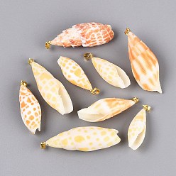 Orange Brass & Natural Mitra Shell Big Pendants, Conch Charms, Light Gold, Orange, 32~57x12~22x11~20mm, Hole: 4~5x3.5mm