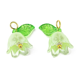 Бледно-Зеленый Акриловые подвески, с золотыми латунными петлями, жемчужина с ландышем, бледно-зеленый, 13~13.5x10~11.5 мм, отверстие : 2.5~3 мм