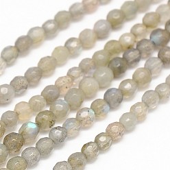 Labradorite Natural Labradorite Round Bead Strands, Faceted, 4mm, Hole: 1mm, about 100pcs/strand, 15.7 inch