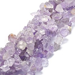 Аметист Необработанные грубые нити натурального аметиста, чип, 8~18x7~14x4~11 мм, отверстие : 1.2 мм, около 50~51 шт / нитка, 16.14'' (41 см)